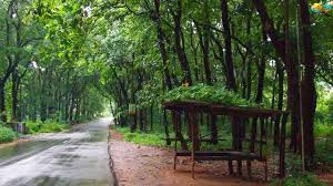 🌲🚐 കാടു മുതൽ കടൽ വരെ