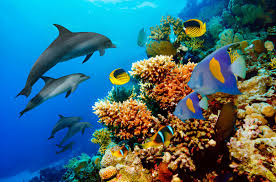 Lakshadweep