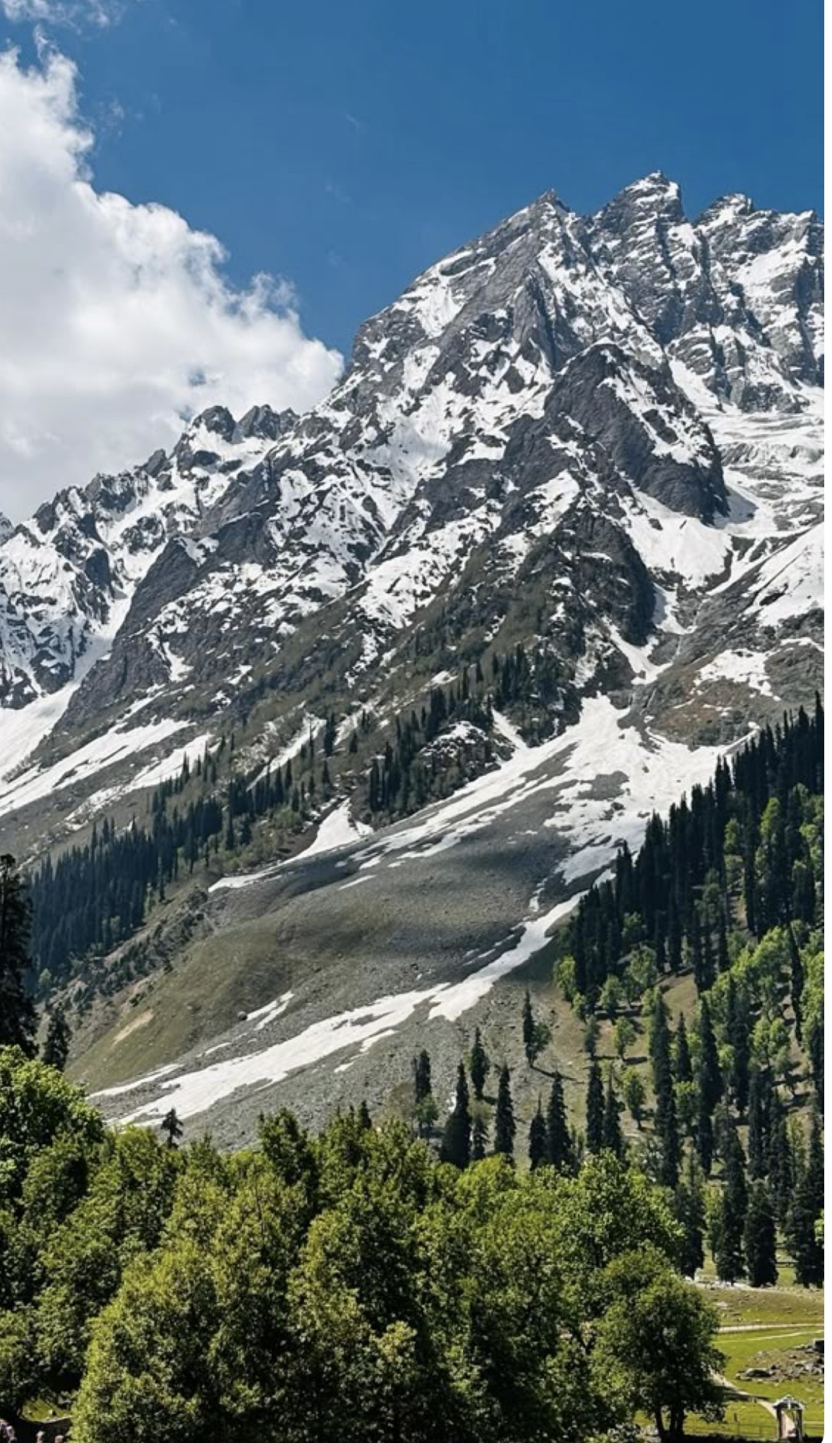 KASHMIR PACKAGES
