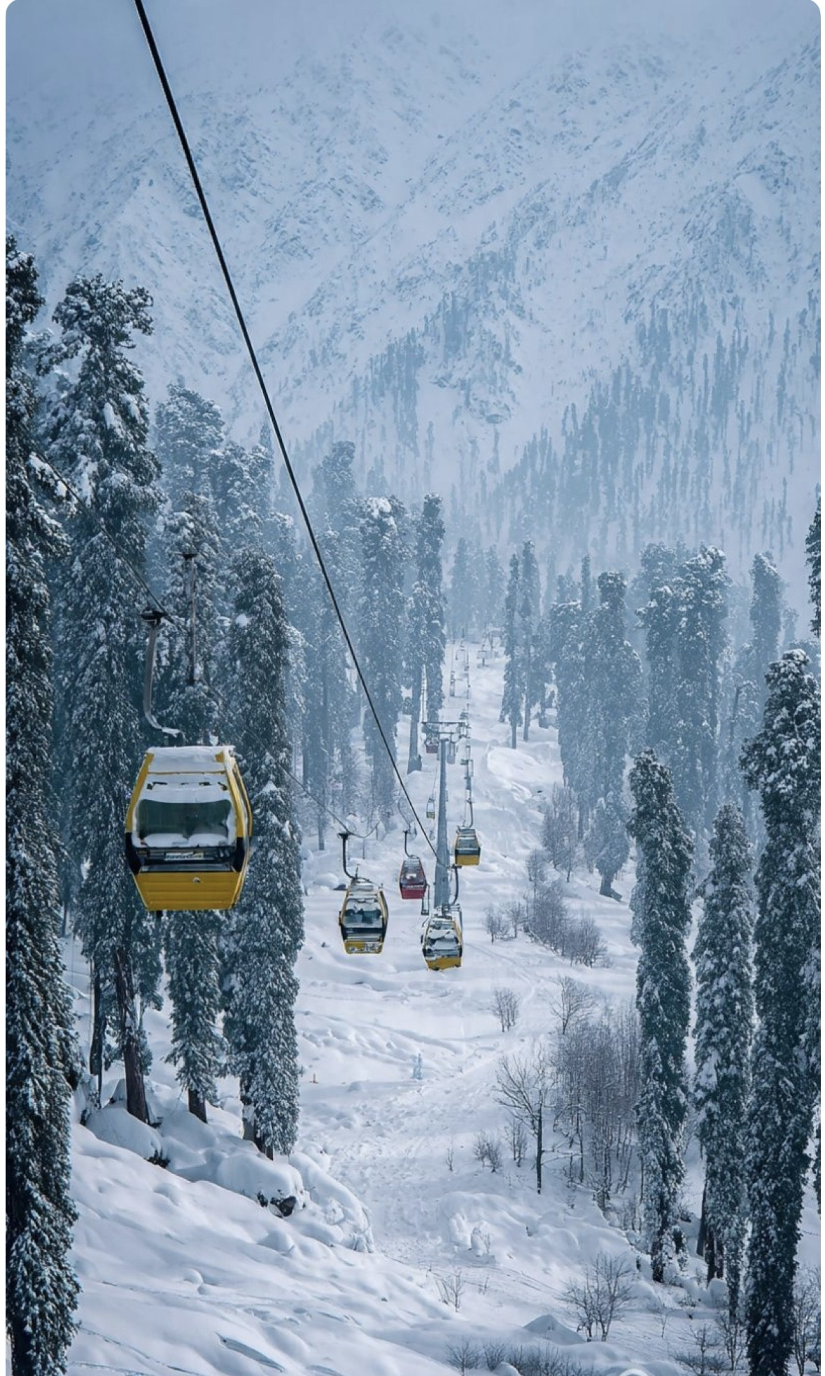 KASHMIR PACKAGES