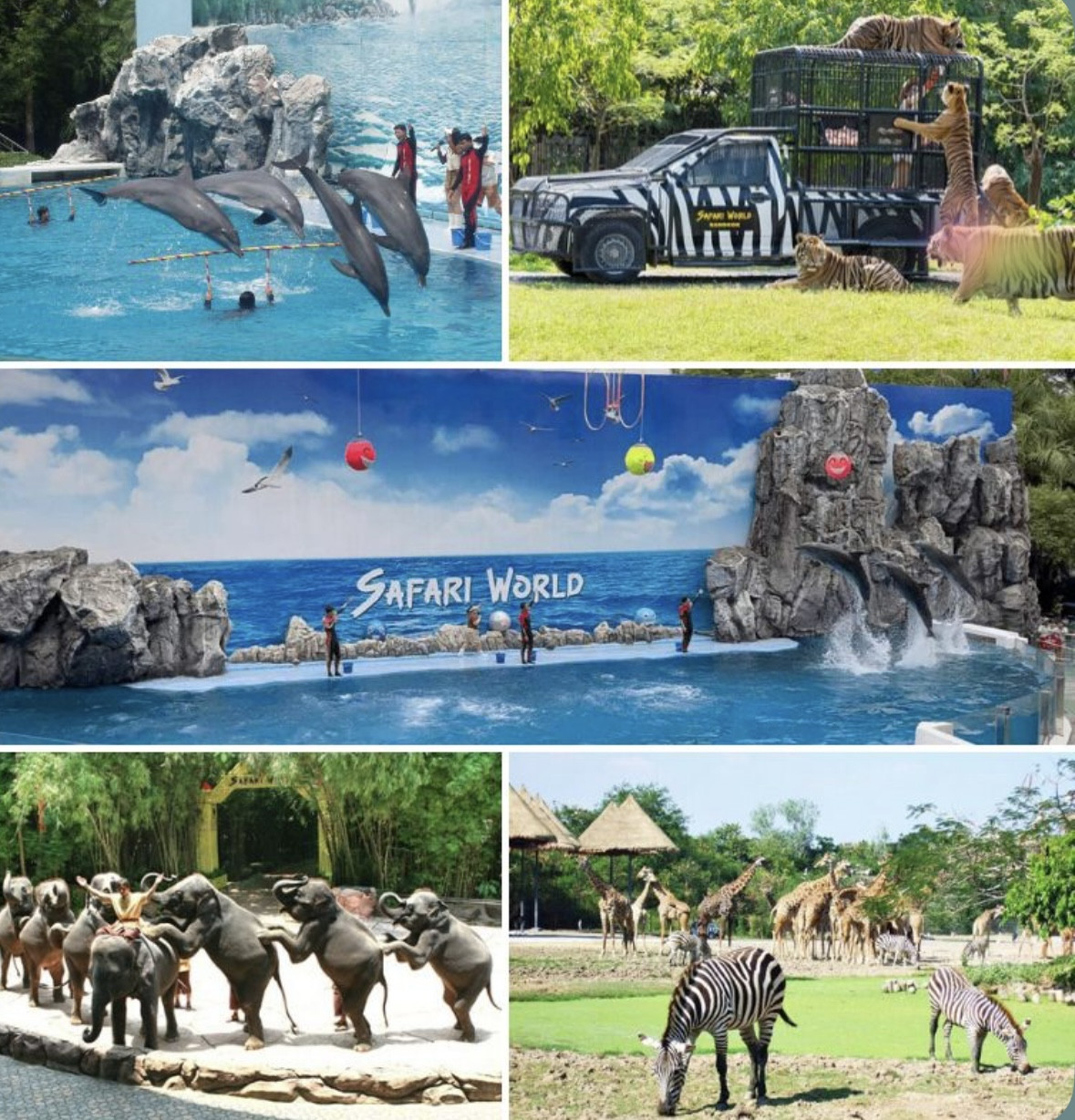 THAILAND  PACKAGE
