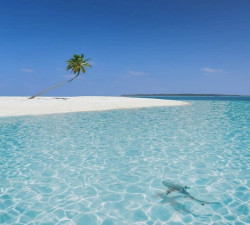 LAKSHADWEEP ISLAND