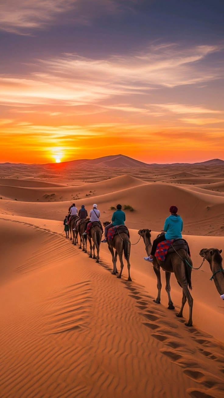 RAJASTAN 7NIGHT/8DAY
