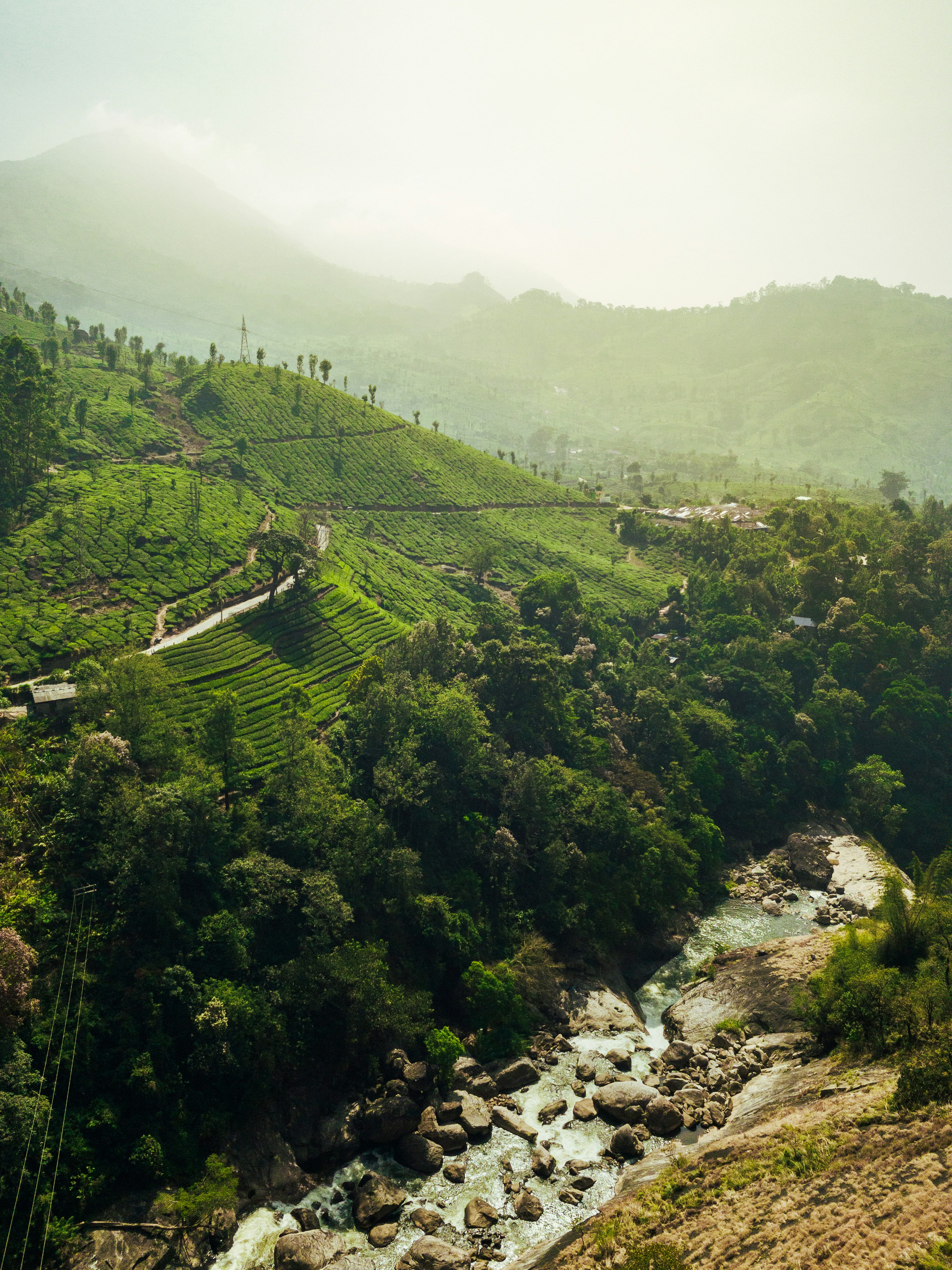 MUNNAR - ONEDAY TRIP