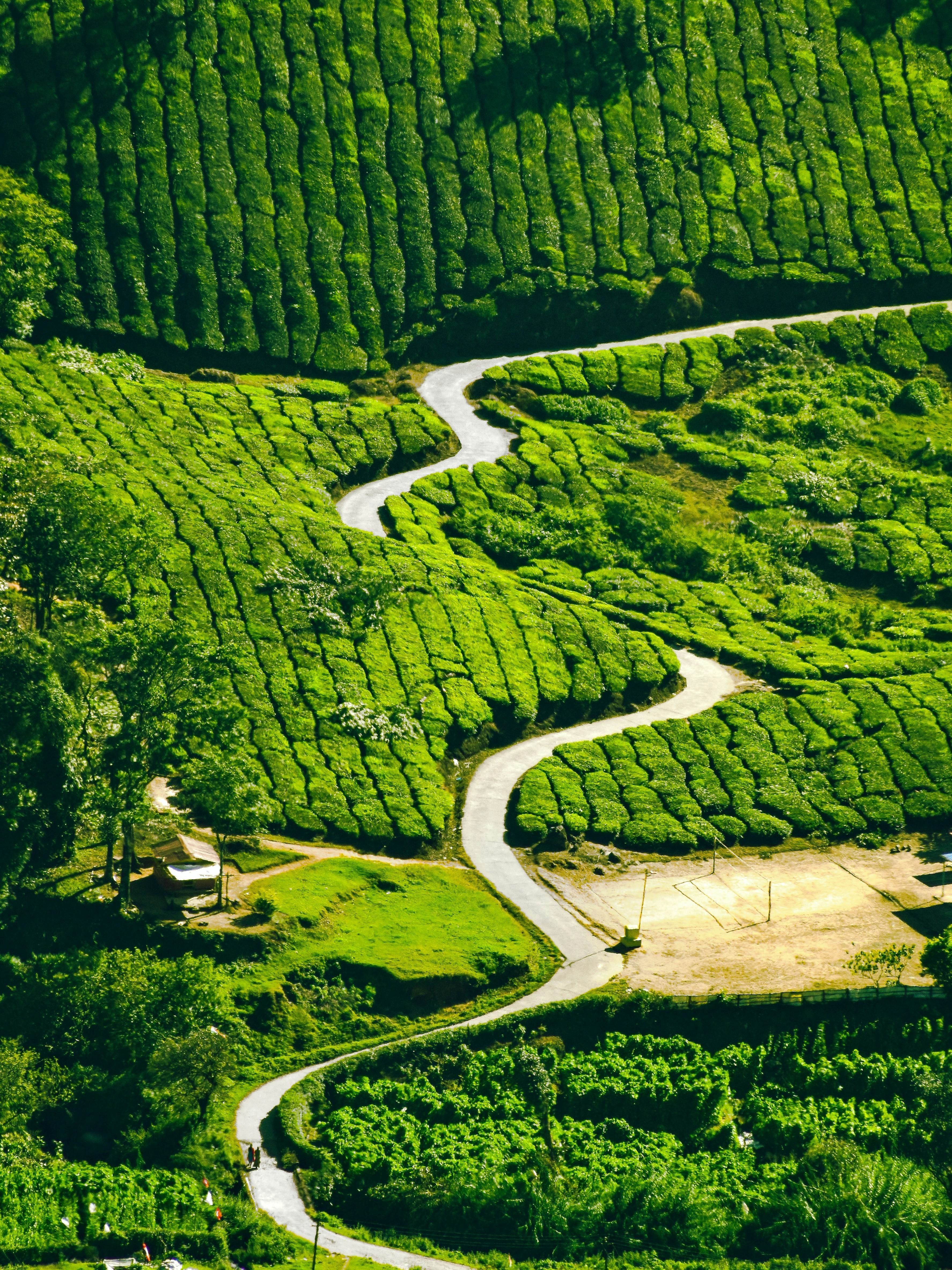 MUNNAR - ONEDAY TRIP